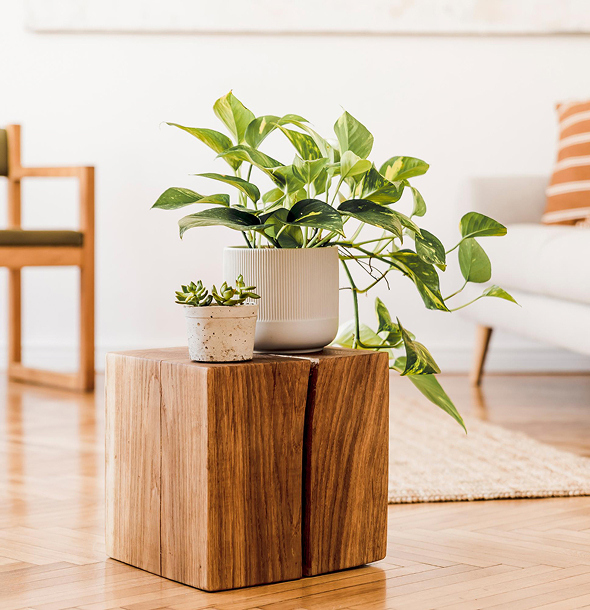 two planters kept on a wooden block